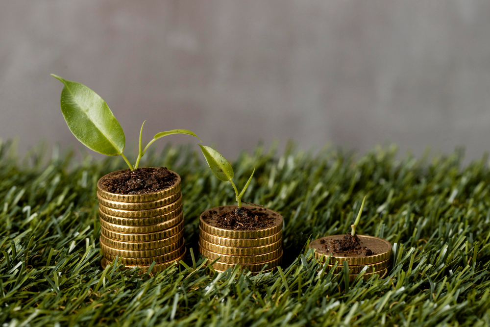 Plantas sobre dinero