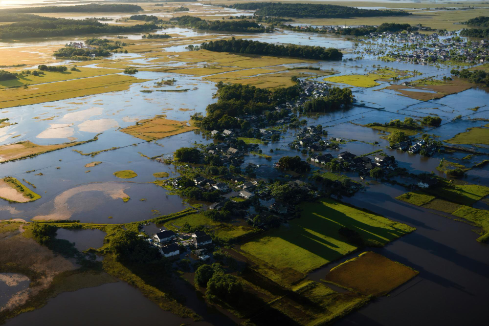 Cultivo inundado