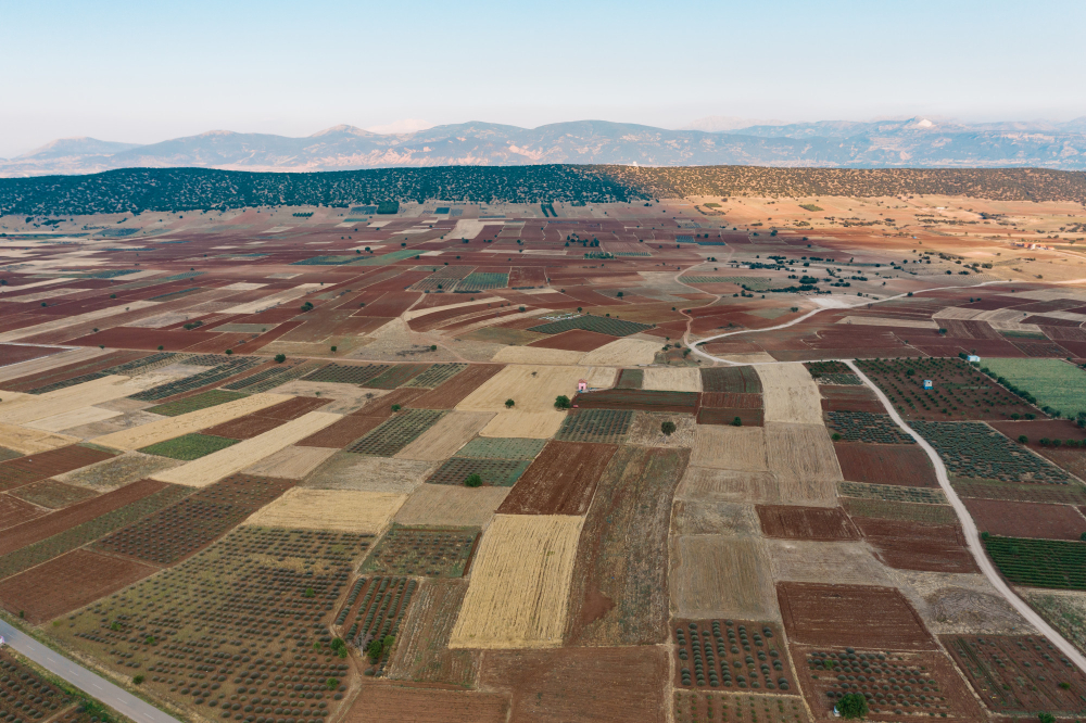 Zona de cultivos en vista aérea