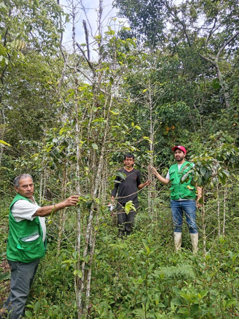 Fotos de la galería